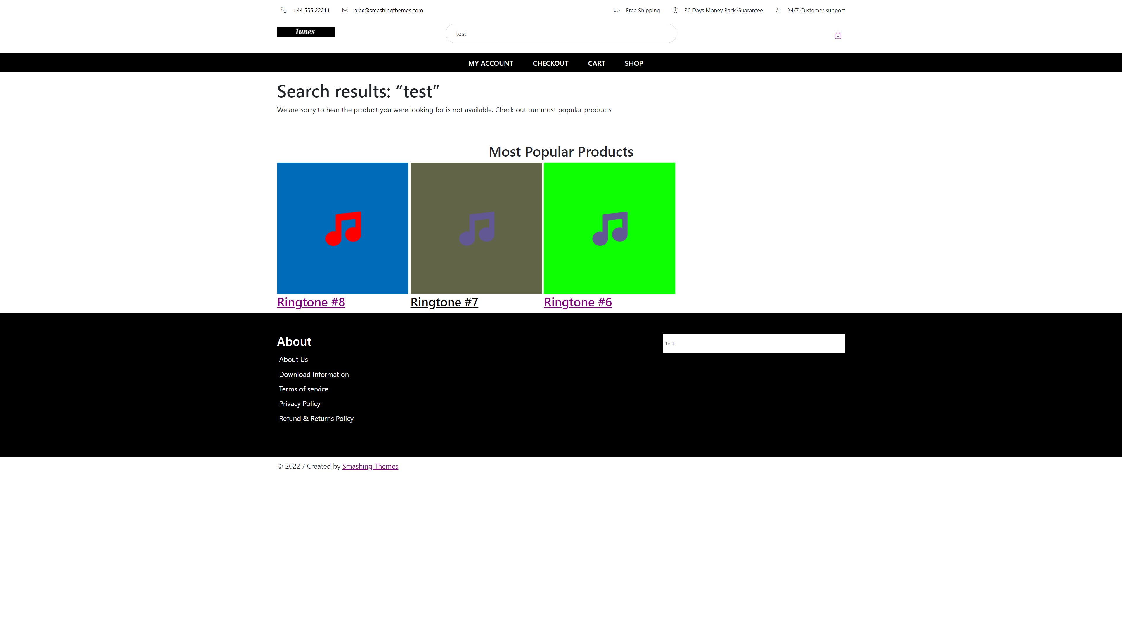 Tunes WordPress Theme for Audio Files- No Product Found Page Screenshot for Desktop
